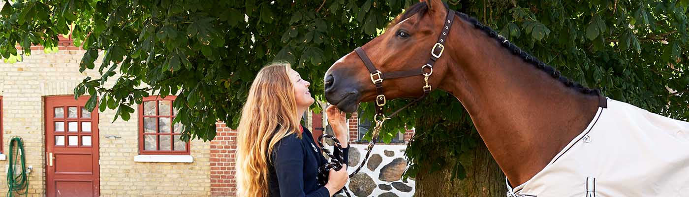 Köpguide hästtillbehör – allt för dig och din häst 